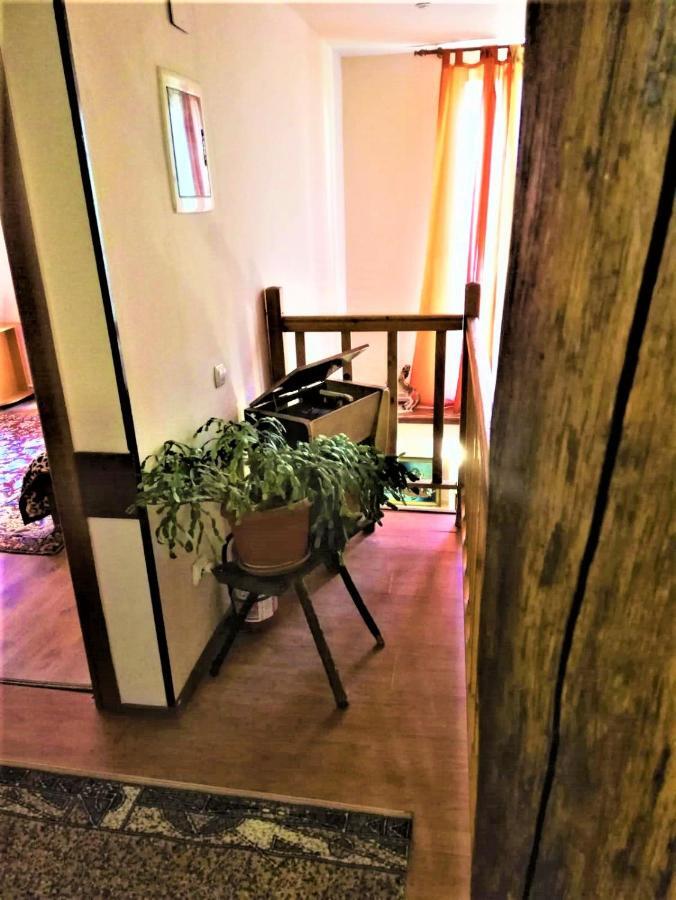 Hotel Dolce Far Niente Braşov Extérieur photo