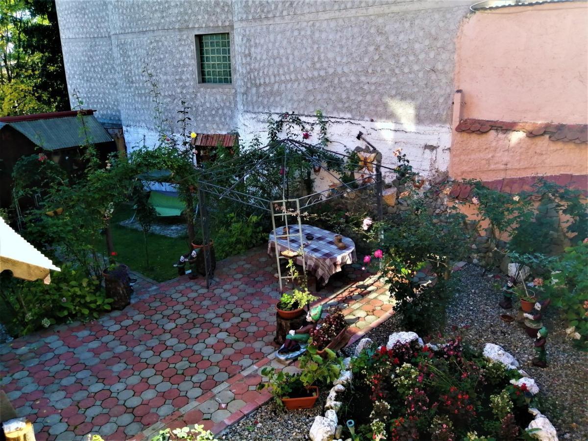 Hotel Dolce Far Niente Braşov Extérieur photo